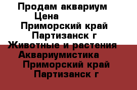 Продам аквариум › Цена ­ 13 000 - Приморский край, Партизанск г. Животные и растения » Аквариумистика   . Приморский край,Партизанск г.